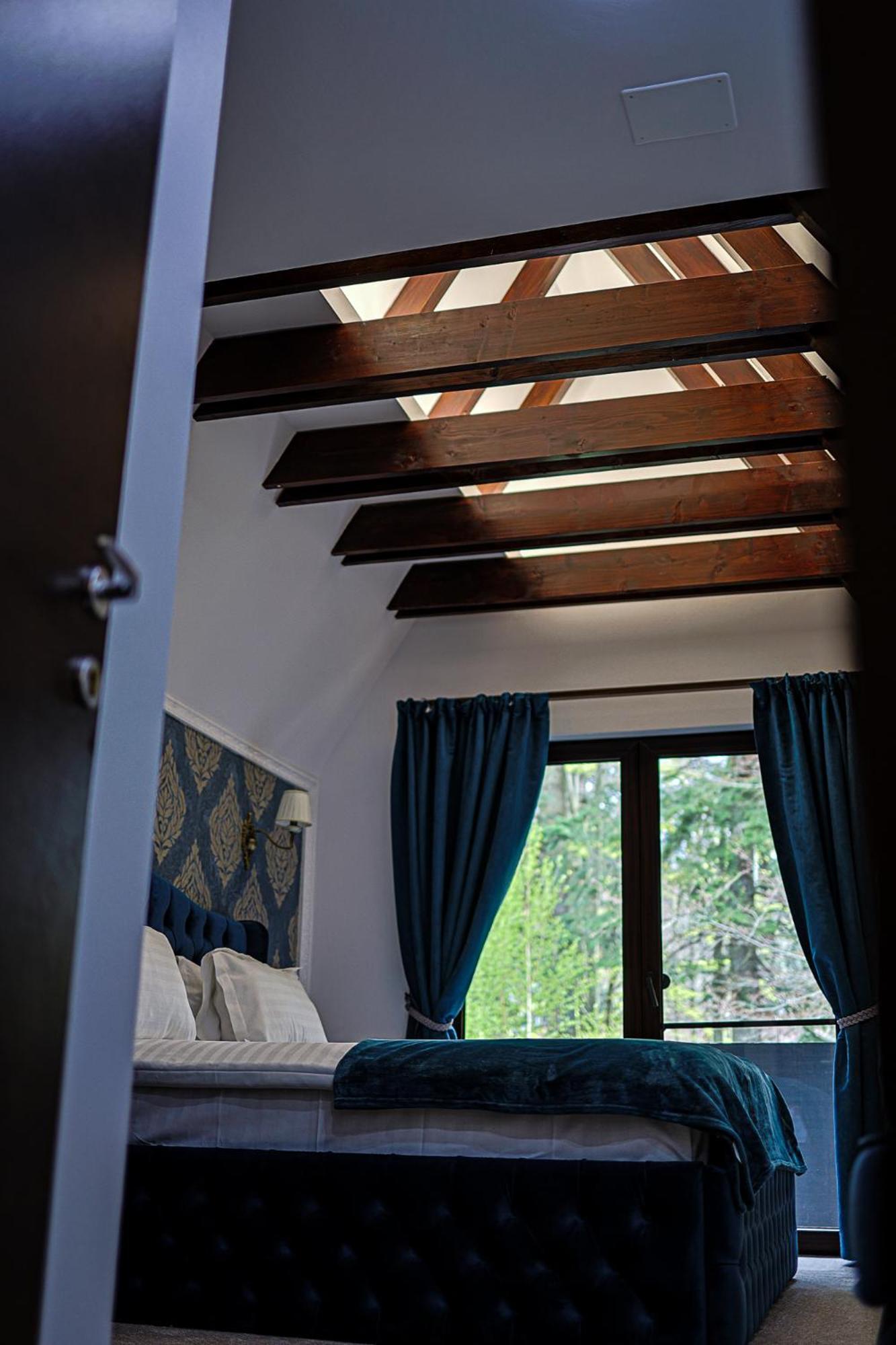 Villa Tom Sinaia Extérieur photo